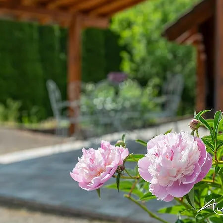 Chalet La Calougeotte, Jardin, Spa Et Sauna Prives Le Ménil Exterior foto