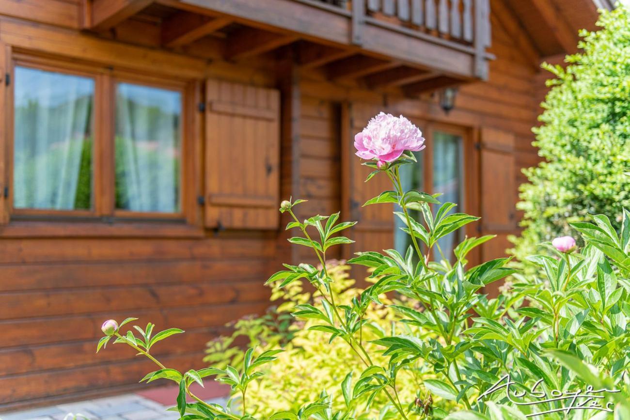 La Calougeotte, Jardin, Et Sauna Prives Chalet *