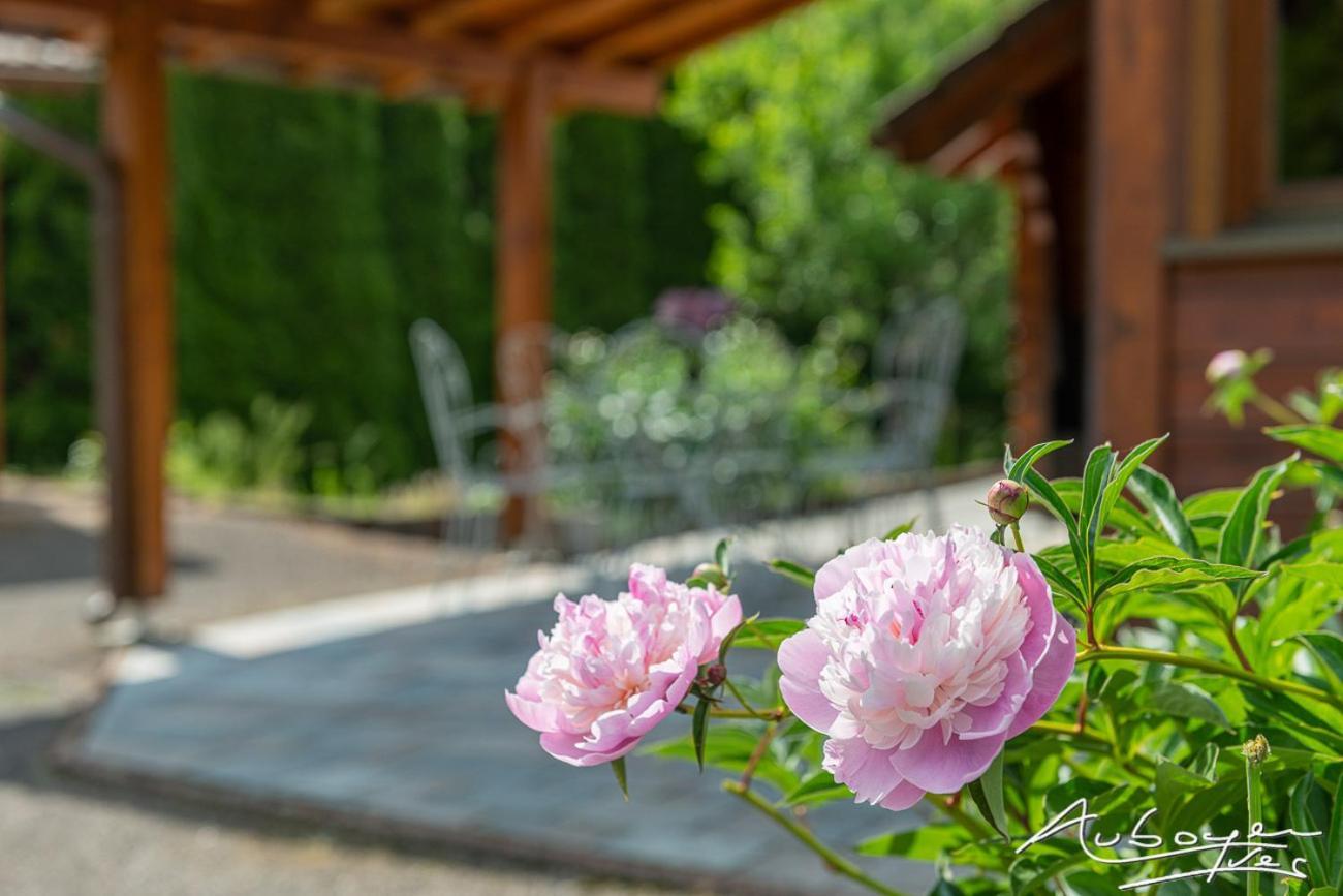 Chalet La Calougeotte, Jardin, Et Sauna Prives